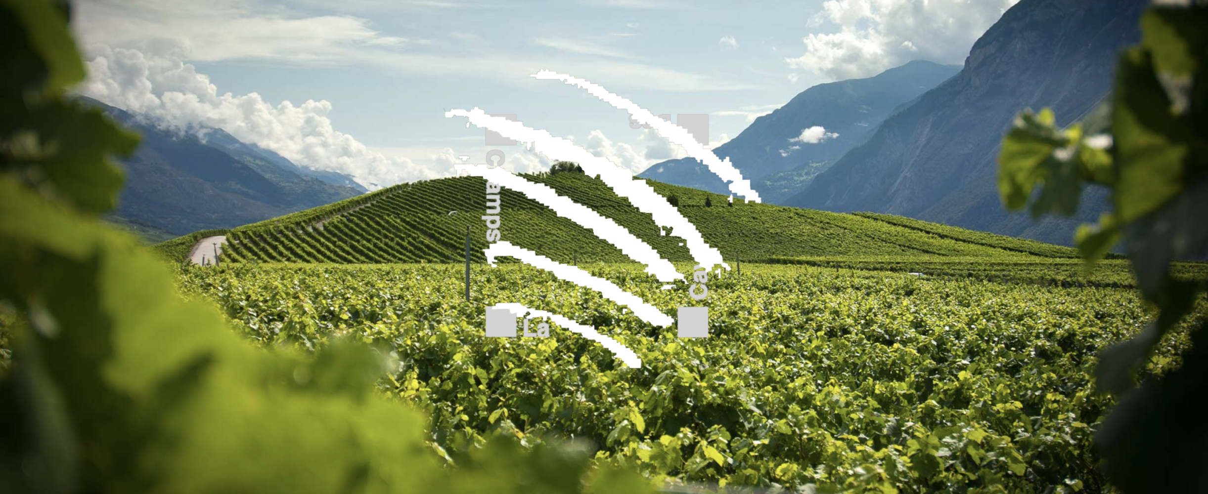 Domaine Claudy Clavien