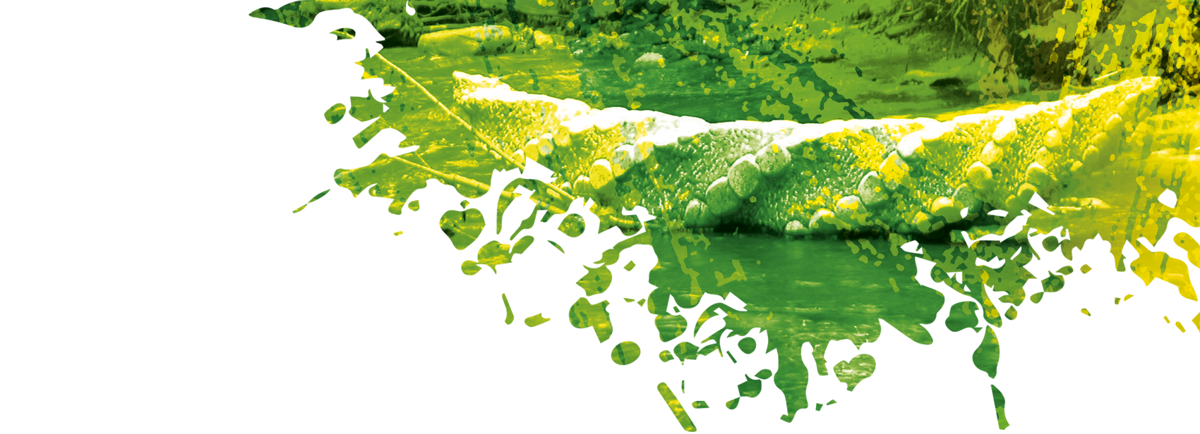 Ouverture du Festival – Vernissage, table ronde et cocktail