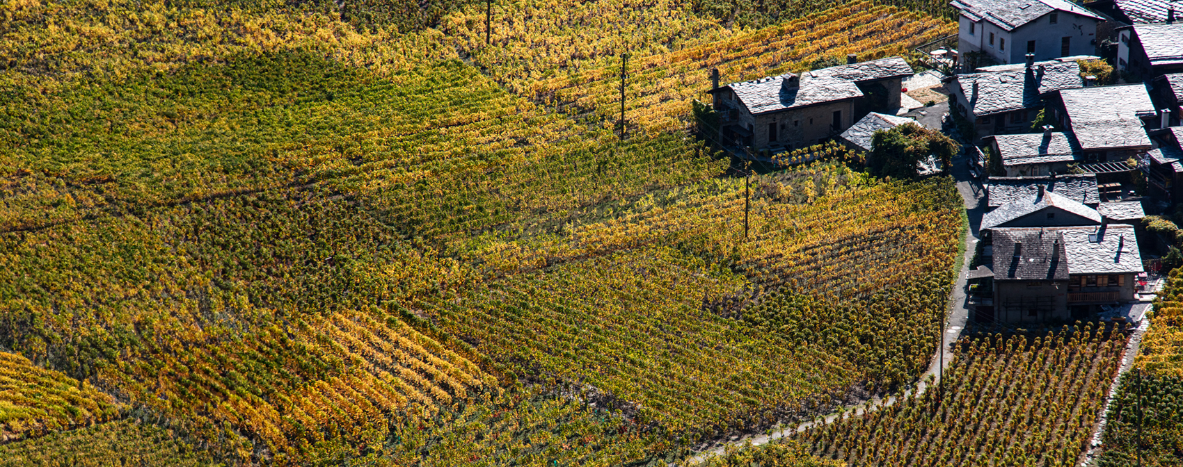 Le chemin de Vuardette