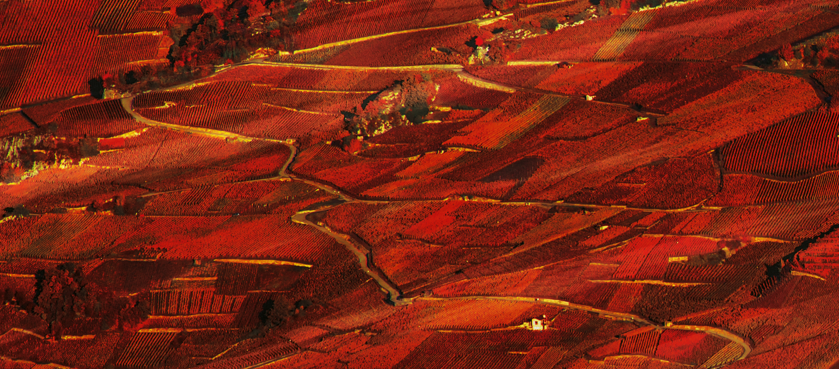 Tête à tête Goût y es-tu ?