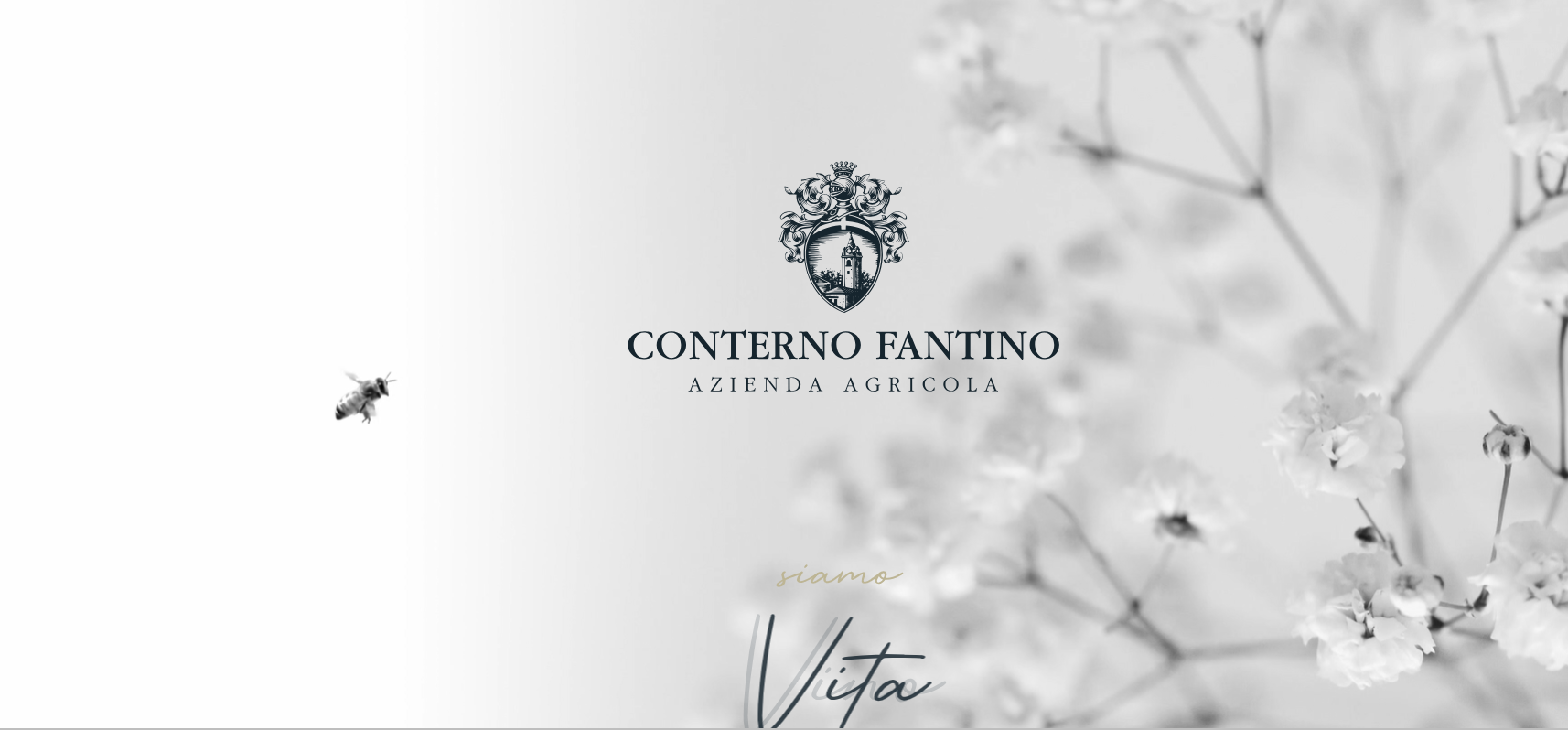 Cave Conterno Fantino