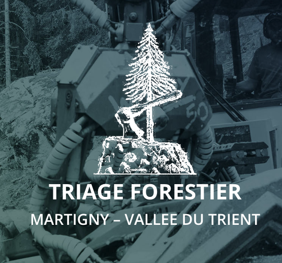 Triage Forestier