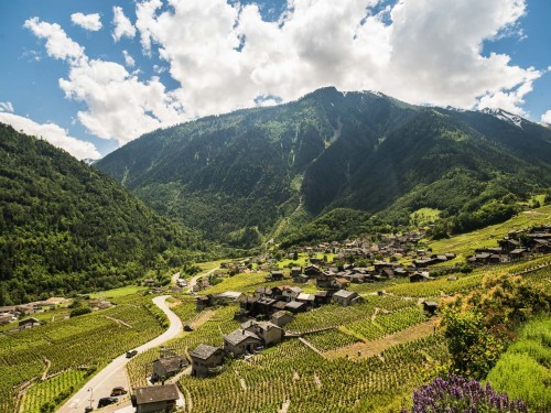 Le coffret LE CHEMIN DE VUARDETTE – Image 3