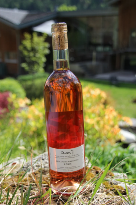 Rosé Queen'J Dioli-Pinot – Image 4