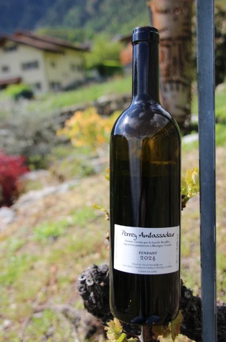 Fendant Perrey Ambassadeur – Image 2